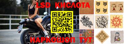 a pvp Камышлов