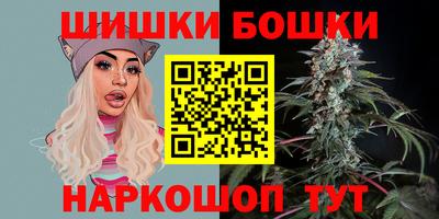 a pvp Камышлов