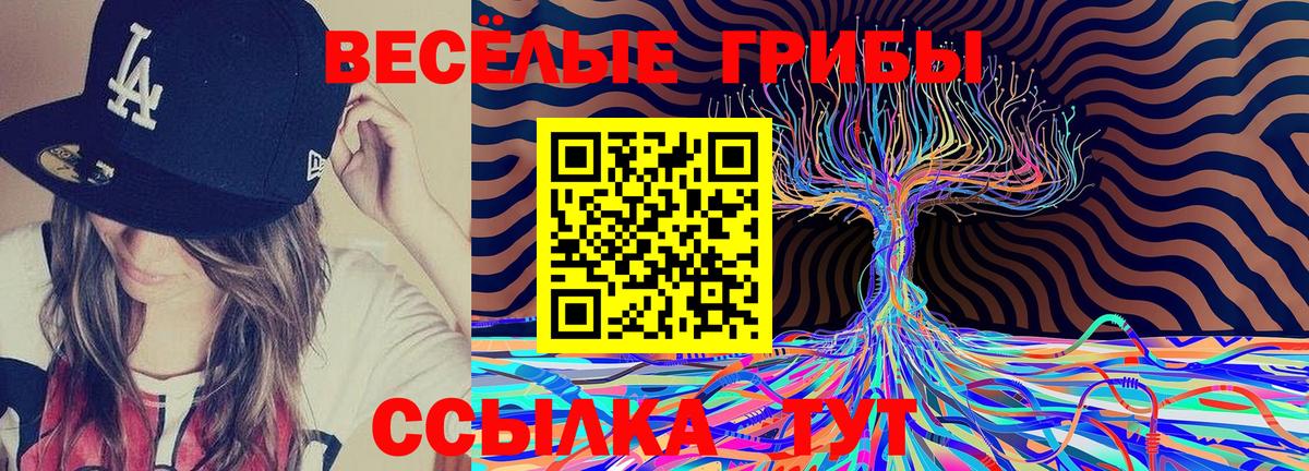 Галлюциногенные грибы Cubensis  Галлюциногенные грибы прущие грибы  Вход с VPN  Кузнецк 